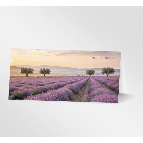 Provence - 27P09 - Carte panoramique